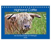 Highland Cattle, die Hochlandrinder aus Pfeffingen (Tischkalender 2026 DIN A5 quer), CALVENDO Monatskalender: Urige Rinder auf der Weide