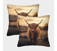 Highland Cattle-Natural Landscape Photography Federe Cuscini Per Divano Decorative Art Fodere Per Cuscini Confezione Da 2 Moderni Del Divano Arredamento 40x40cm