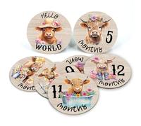Highland Cow Baby Month Milestone Circles, dischi in legno per foto del bambino scattate con cartelli Hello World, 7 cartelli a doppia faccia per documentare la crescita