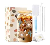 Highland Cow - Bicchiere con coperchio e cannuccia, set regalo con scatola regalo, 500 ml con coperchio e cannuccia, bicchieri per donne a casa, ufficio, latte caldo cacao (B)