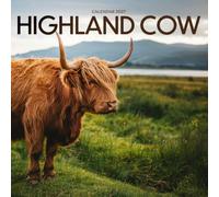Highland Cow Calendar 2027: Shaggy Cattle and Rural Fields