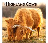Highland Cows 2027 7 X 14 Inch (Hanging) Monthly Mini Wall Calendar
