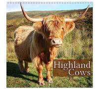 Highland Cows - Calendar 2026 12" x 24", 30 x 60 cm (aperto) Calvendo 12 Month Wall Calendar
