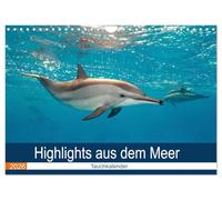 Highlights aus dem Meer - Tauchkalender (Wandkalender 2026 DIN A4 quer), CALVENDO Monatskalender: Erleben Sie die farbenfrohe Welt unter Wasser! Ein Kalender nicht nur für Taucher.
