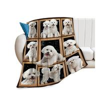 HiHELLOH Bichon Frise, coperta in pile di flanella con motivo Bichon Frise, regalo per donne, uomini, ragazzi, ragazze, amanti degli adulti, roba in peluche per divano, letto, 127 x 152 cm