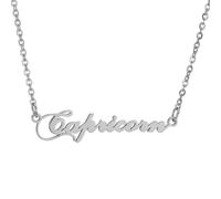 HIJONES Collana per Donne con i 12 Segni Zodiacali in Acciaio Inossidabile Charm Oroscopo Personalizzato Gioielli Delicati Argento Capricorno