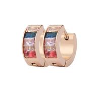HIJONES Donne Acciaio Inox Rettangolo Arcobaleno Cz Intarsiato Piccolo Hoggie Orecchini A Cerchio Lgbt Pride Lesbica Bisessuale Non Binario Asessuale Bandiera Lgbtq Stud Gioielli Oro rosa