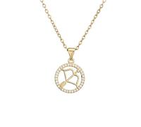 HIJONES Segno Zodiacale Classico Collana con Ciondolo in Oro con Intarsio di Zirconia da Donna in Acciaio Inossidabile Collana A Forma di Spina Dorsale con Costellazione Dell'Oroscopo Sagittario