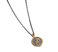 HIJONES Segno Zodiacale Collana con Ciondolo A Forma di Monete Rotonde da Uomo in Acciaio Inossidabile Oroscopo Costellazione Astrologia Gioielli Charm Sagittario