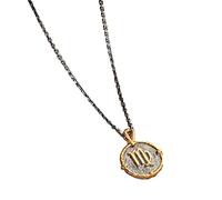 HIJONES Segno Zodiacale Collana con Ciondolo A Forma di Monete Rotonde da Uomo in Acciaio Inossidabile Oroscopo Costellazione Astrologia Gioielli Charm Vergine