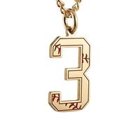 HIJONES Uomo Donna Acciaio Inox Trendy Baseball Lucky Sport Numero Collana Pendente Titainum Biker Gioielli Oro 3