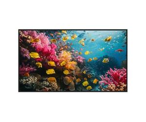 Hikvision Monitor di Segnaletica Digitale 50" E-LED 4K 60Hz Nero