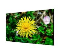 HIKVISION Monitor LCD Interno 55" Full HD 1920x1080 Nero