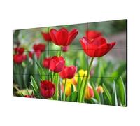 5909443 HIKVISION VIDEOWALL 55" 1080P 500cd, bezel:3.5mm, Input: VGA/DVI/DP/HDMI