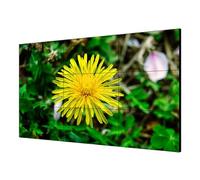 HIKVISION VIDEOWALL 55", 1080P, 500cd/mq-bezelwidth:1.8mm,Input: VGA/DVI/DP/HDMI
