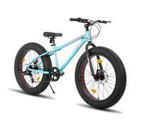 Hiland Roon 24/26 Pollici Grasso Pneumatico Mountain Bike per Adolescenti e Adulti, MTB con Shimano 7 Velocità, Doppio Disco Freno, Spiaggia E Neve Bicicletta (Verde, Blu, Bianco e Argento) Acciaio ad