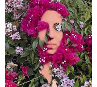 Hildegard Von Bingen Hildegard Von Bingen: You Are the Flower - Volume 1 (CD)