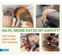 Hilfe, meine Katze ist kaputt: 200 Katzen gehen über ihre Grenzen: 12