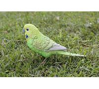 HiLine Gift Ltd. Budgerigar con piede di ferro verde