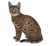 HiLine Gift Ltd. Sitting Bengal Cat Statue Brown