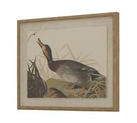 Hill Interiors Flora & Fauna Collection Anatra Lino Stampa Artistica (HI5166)