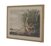 Hill Interiors Flora & Fauna Collection Immagine Foderato Arte da (HI5174)