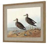 Hill Interiors Flora & Fauna Collection Piovanelli Lino Arte da Parete (HI5181)