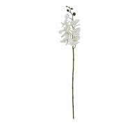 Hill Interiors Orchidea Farfalla Fiore Artificiale (HI4806)