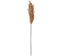 Hill InteriorsErba di Pampa Essiccata Fiore Artificiale (HI4915)