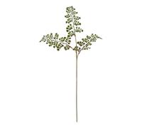 Hill InteriorsThe Natural Garden Collection Felce Capelvenere Fiore (HI4810)