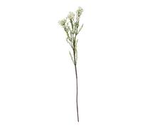 Hill InteriorsThe Natural Garden Collection Fiore di Cera Fiore (HI4862)