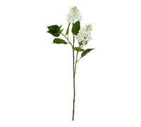 Hill InteriorsThe Natural Garden Collection Lilla Bianco Fiore (HI4850)