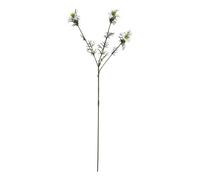 Hill InteriorsThe Natural Garden Collection Love In A Mist Nigella (HI4987)
