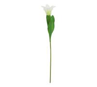 Hill InteriorsThe Natural Garden Collection Pappagallo Tulipano Fiore (HI4884)