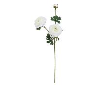 Hill InteriorsThe Natural Garden Collection Ranunculus Fiore (HI4821)