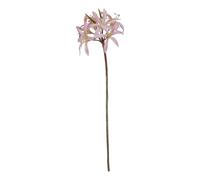 Hill InteriorsThe Natural Garden Collection Stelo di Giglio Fiore (HI4888)