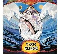 Hillage, Steve - Fish Rising