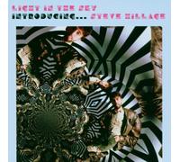 Hillage,Steve - Introducing Steve Hillage