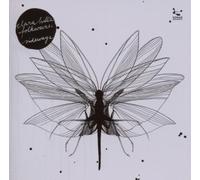 Hill'S,Clara Folkwaves - Sideways