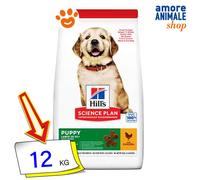 Hills Dog Science Plan Puppy Large Breed Pollo Cibo Secco Cani 12 Kg