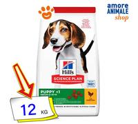 HILL'S SCIENCE PLAN CANINE PUPPY MEDIUM POLLO 12 KG.