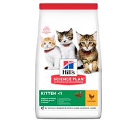 Hill's Science Plan Kitten Con Pollo 300 Gr