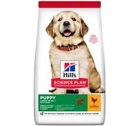HILLS Hill's Science Plan Puppy Large Breed Pollo 14.5KG