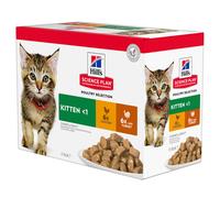Hill's Science Plan Kitten cibo umido per gatti, pollo-tacchino 12 x 85 g