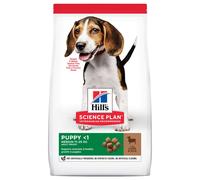 Set risparmio! 2 x Hill's Science Plan - 2 x 14 kg Puppy <1 Medium con Agnello e Riso