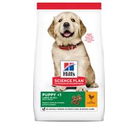 Hill's Science Plan Canine Puppy Large +25kg Crocchetto Pollo 16kg