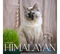 Himalayan Cat Calendar 2027: Long-Haired Cats and Cozy Days