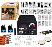 HimaPro Bruciatore a legna con due perni per bruciatore a legna Kit pirografia 60W 100/120V Temperatura regolabile