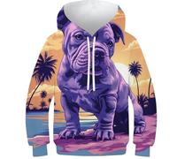HIMKSRE Felpa con Cappuccio Future Cars con Stampa 3D for Ragazzi e Ragazze, Pullover, Felpe con Cappuccio e Tasche(Style-16,130)