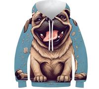 HIMKSRE Felpa con Cappuccio Future Cars con Stampa 3D for Ragazzi e Ragazze, Pullover, Felpe con Cappuccio e Tasche(Style-17,130)